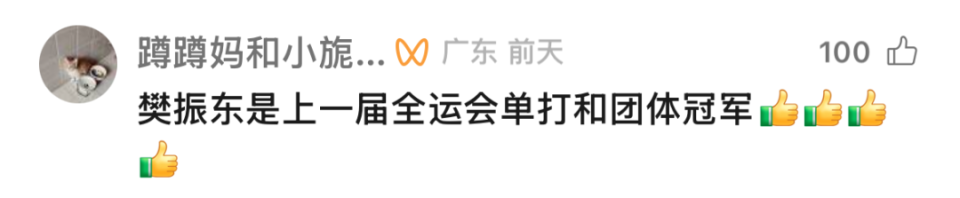 樊振东在代, 表萨尔布吕 樊振东在代, 表萨尔布吕